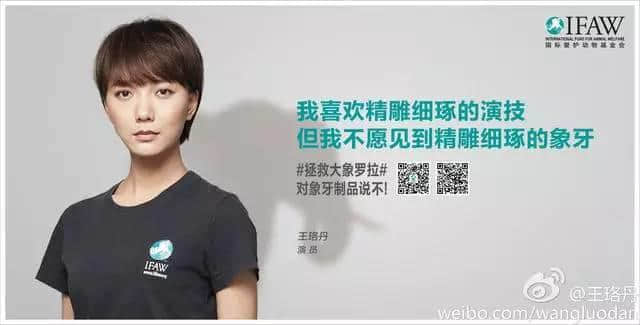講真，每次睇到廣州地鐵嘅保護(hù)象牙廣告就唔爽！