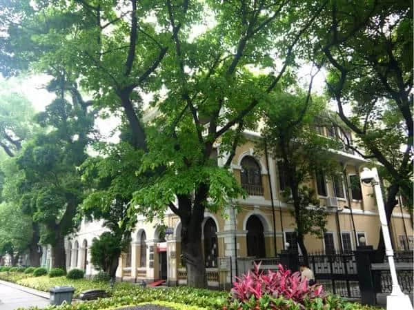 廣州人嘅情懷：我哋榕樹(shù)頭見(jiàn)！
