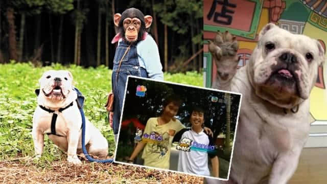 《阿笨與阿占》嘅阿占走咗，呢對童年CP你仲記得嗎？