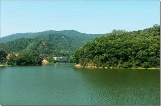 廣州幾時變咗瘋狂動物城？超盞鬼動物地名！