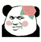 有啲粵語俗語，聽唔明仲以為你贊緊人！