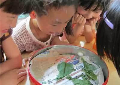 聽講上世紀出世嘅廣州人，都有呢啲人生經(jīng)歷！