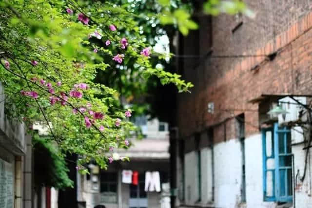 廣州那些沉淀住人情味嘅街巷，你有幾耐冇行過？