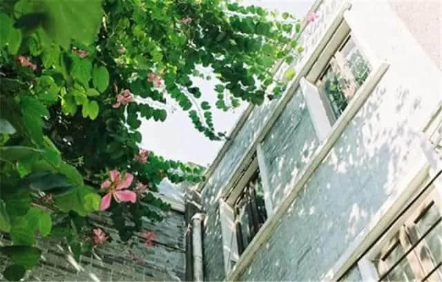 廣州那些沉淀住人情味嘅街巷，你有幾耐冇行過？