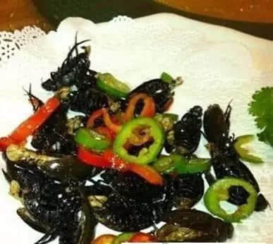 外地人理解唔到嘅廣州美食，全程高能冇尿點(diǎn)……