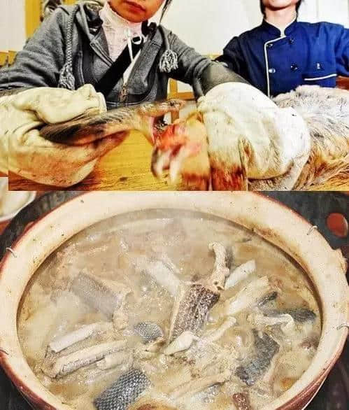 外地人理解唔到嘅廣州美食，全程高能冇尿點(diǎn)……