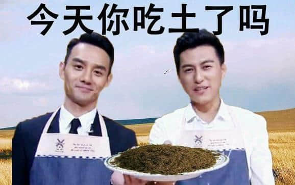 老屎忽＝Old Seafood？粵語翻譯成英文會系點？