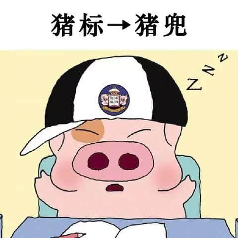老餅粵語VS新興潮語，你覺得邊個到肉啲？