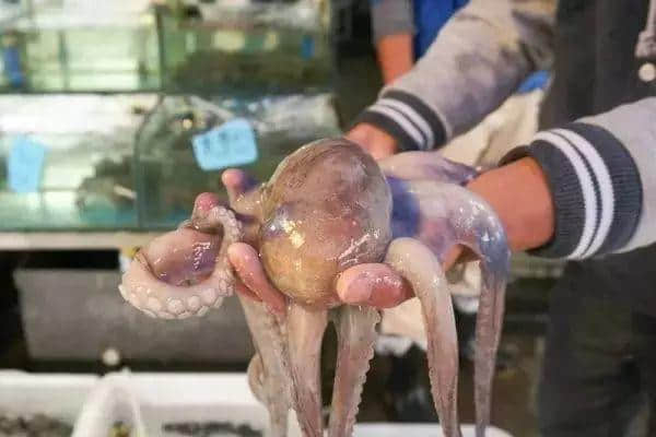 廣州人氣海鮮市場逐個數(shù)，識飲識食至巴閉！