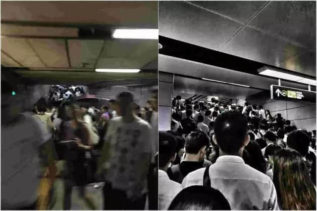你以為系“妮妲”唔夠力？系因?yàn)槲覇O廣州有皇氣罩??！