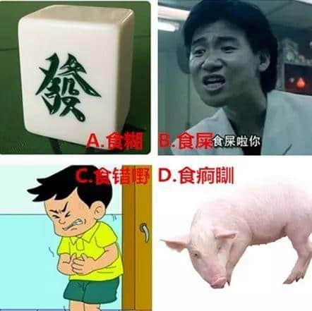 廣州人分分鐘誤會(huì)！你估下越南話“碌鳩”系乜意思？
