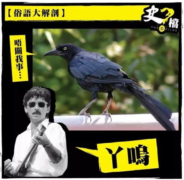 細個阿媽成日都話“丫嗚”婆嚟捉我，“丫嗚”究竟系乜嚟?。? /></div>
<p> </p>
<blockquote><p><span style=
