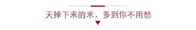 唔系我吹水，粵語真系好巴閉！系巴屎閉！