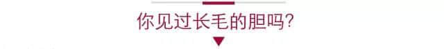 唔系我吹水，粵語真系好巴閉！系巴屎閉！