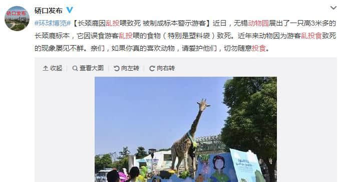 動(dòng)物園游客不文明行為之最，呢種貌似“善意”嘅行為害死唔少動(dòng)物！