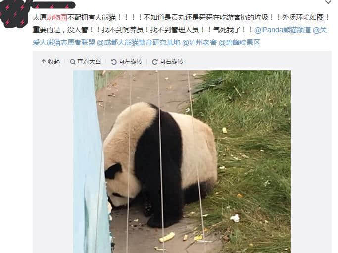 動(dòng)物園游客不文明行為之最，呢種貌似“善意”嘅行為害死唔少動(dòng)物！
