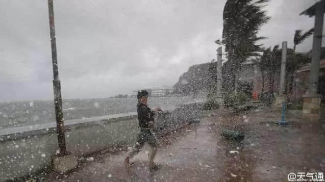 廣州威武！呢只“海馬"未游到廣州就已經(jīng)被生擒！