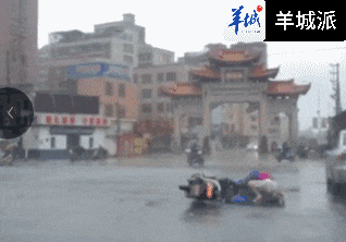 廣州威武！呢只“海馬"未游到廣州就已經(jīng)被生擒！