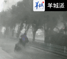 廣州威武！呢只“海馬"未游到廣州就已經(jīng)被生擒！