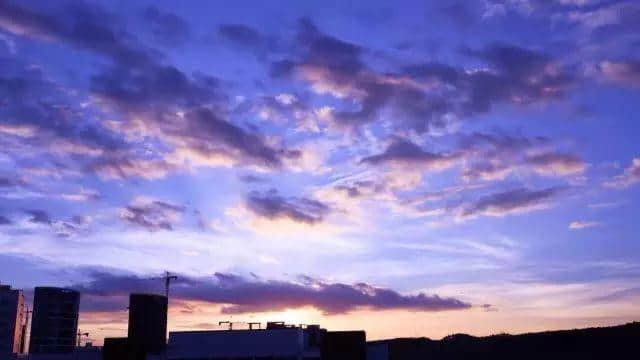 廣州威武！呢只“海馬"未游到廣州就已經(jīng)被生擒！