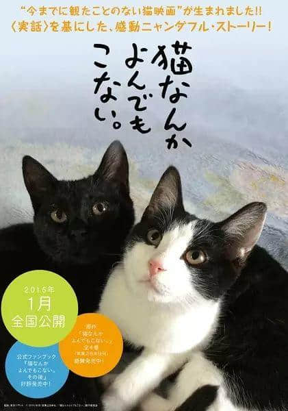 喺廣州點(diǎn)樣拍出接地氣嘅影視作品？首先電影名要夠姜……
