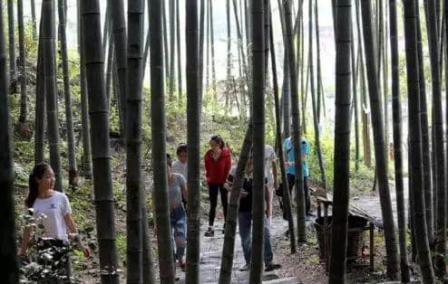 賣完空氣出刻字林，廣東清遠(yuǎn)騎呢景區(qū)仲有乜做唔到？