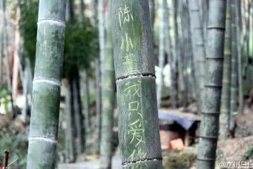 賣完空氣出刻字林，廣東清遠(yuǎn)騎呢景區(qū)仲有乜做唔到？