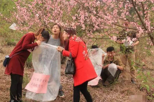 賣完空氣出刻字林，廣東清遠(yuǎn)騎呢景區(qū)仲有乜做唔到？