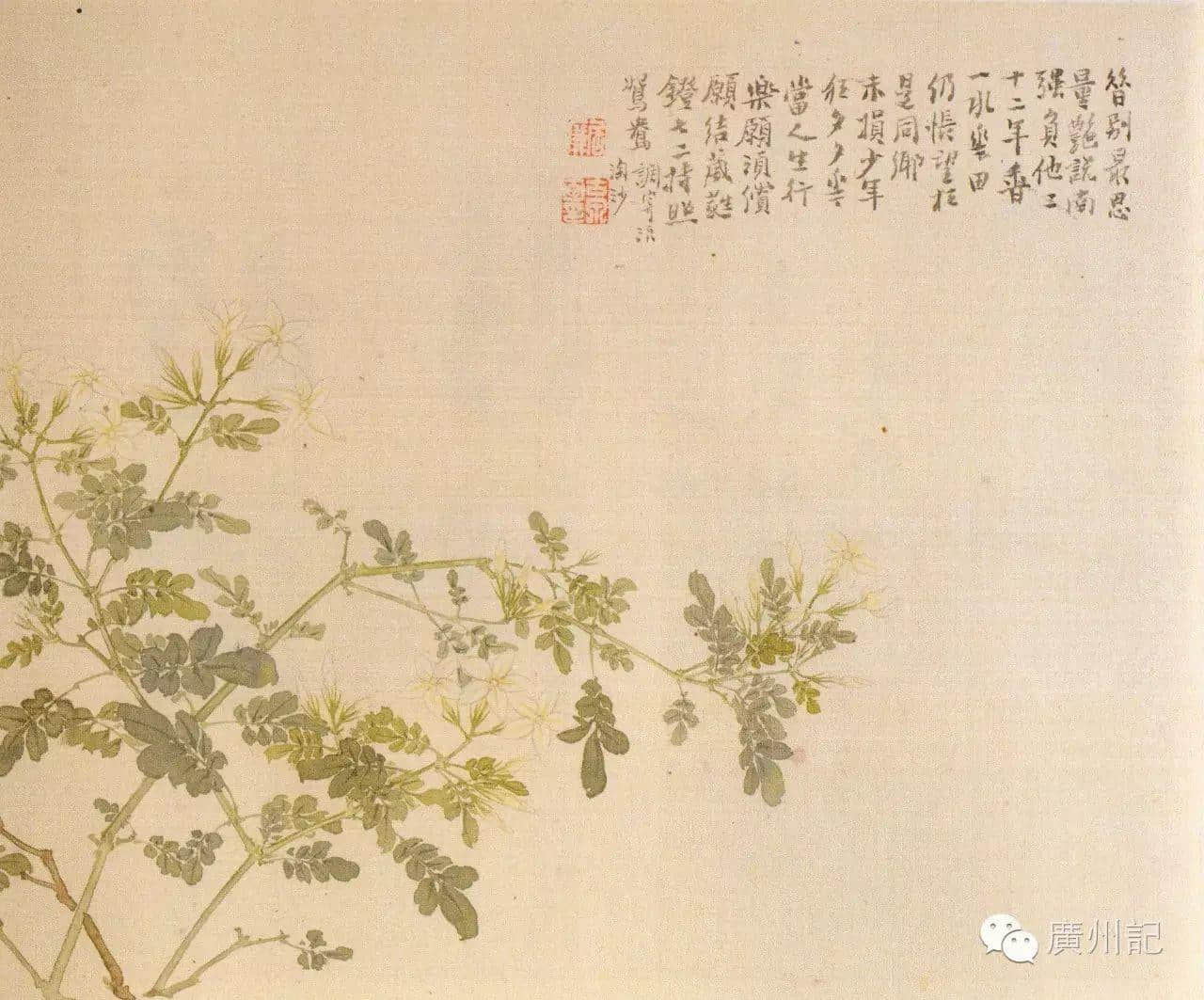 十香園的十香花，究竟是邊十種？
