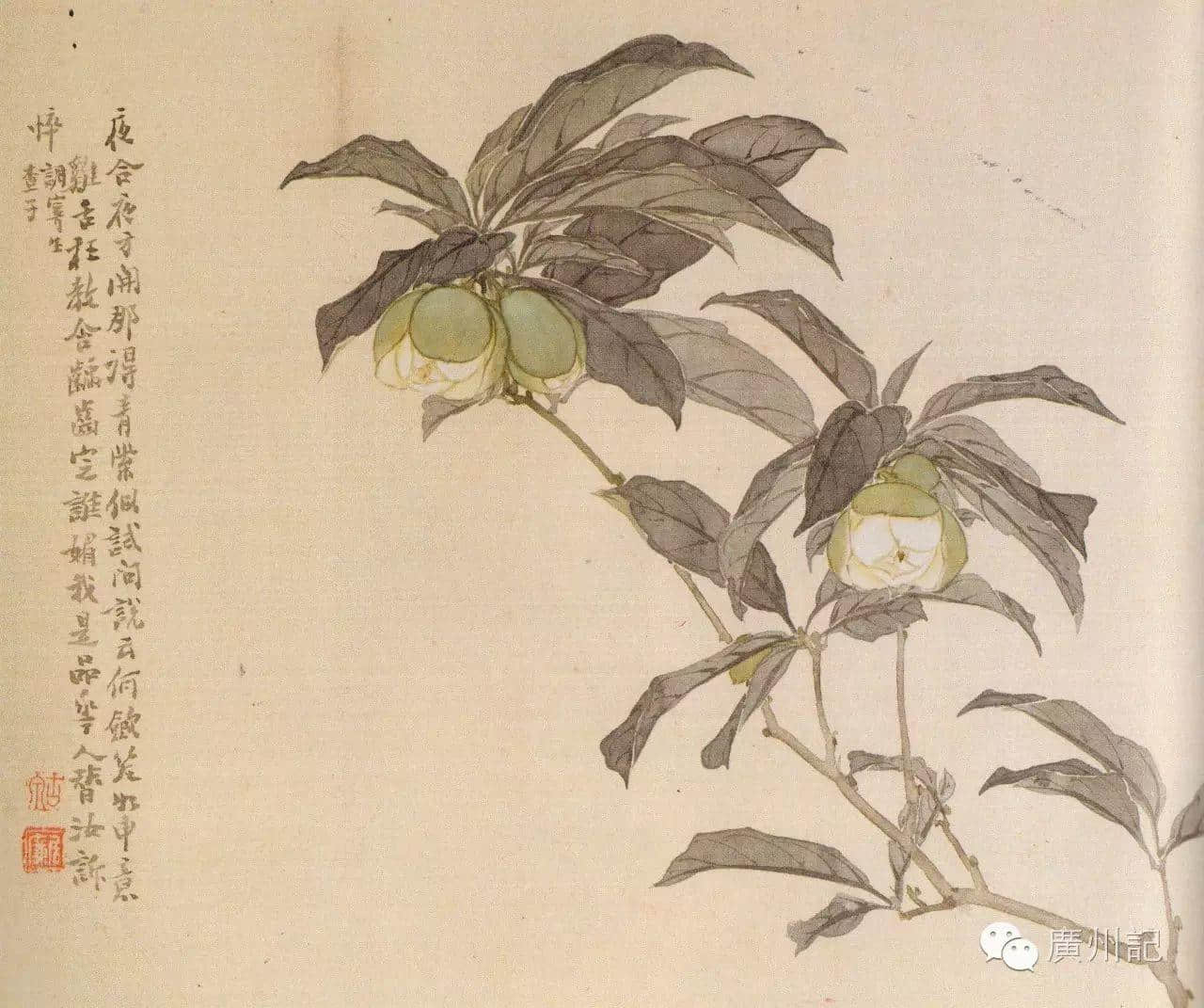 十香園的十香花，究竟是邊十種？