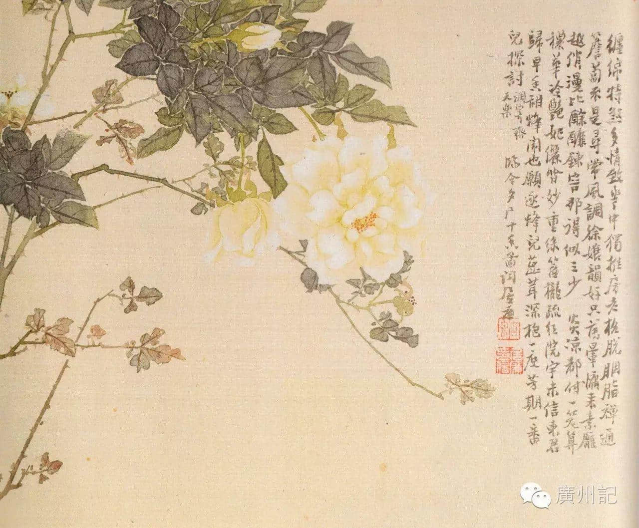 十香園的十香花，究竟是邊十種？