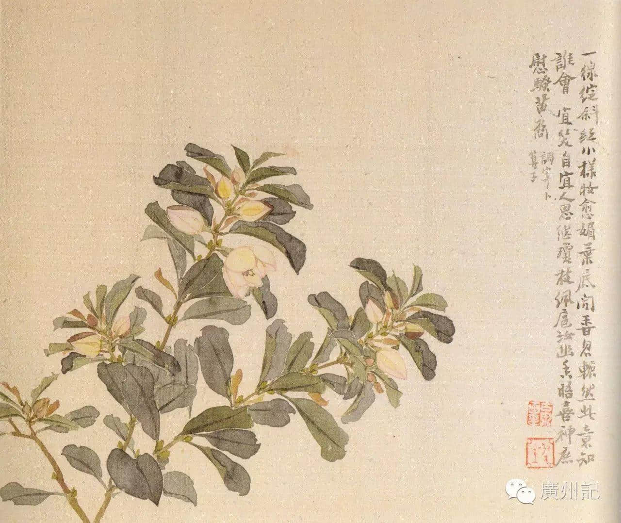 十香園的十香花，究竟是邊十種？