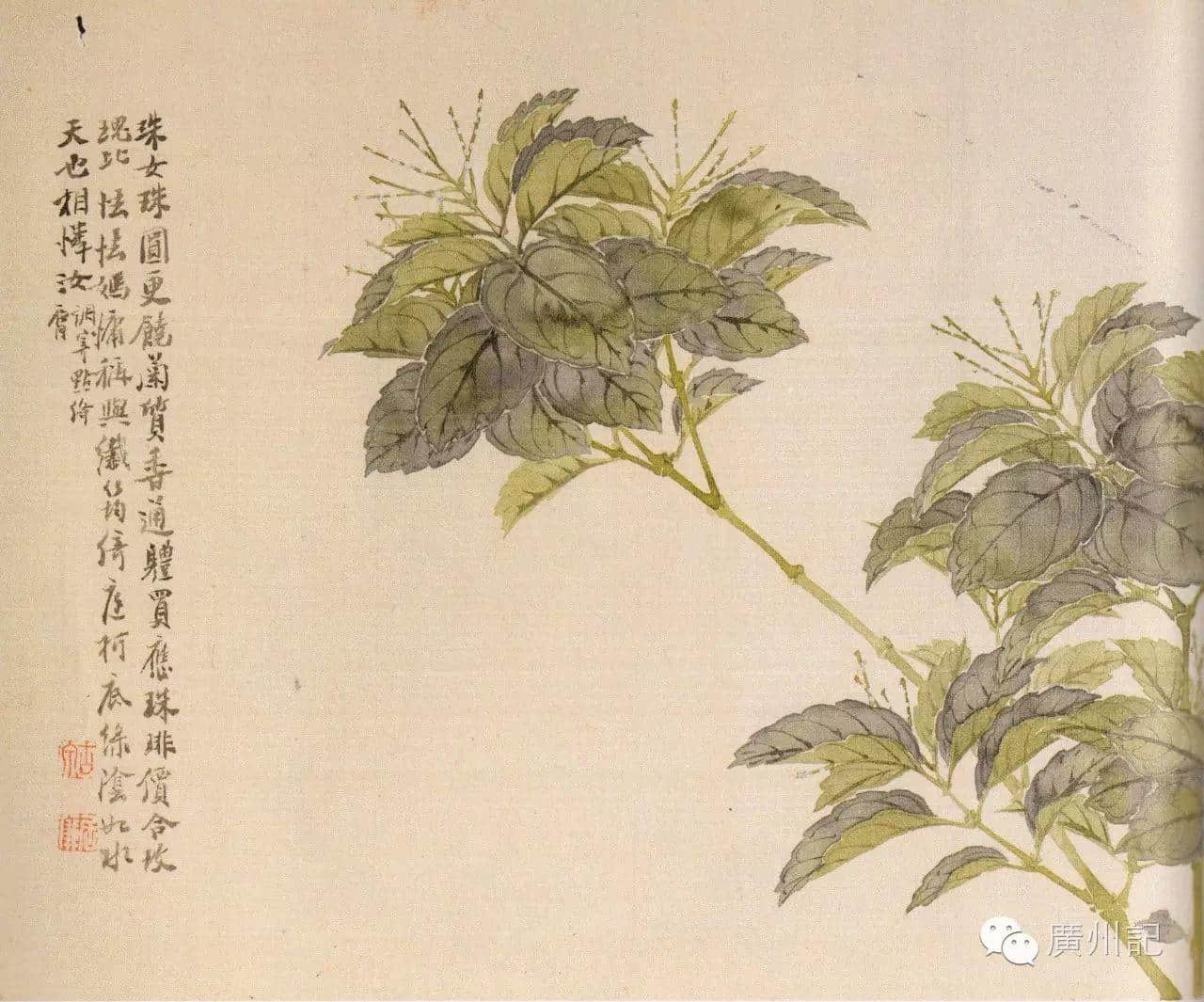 十香園的十香花，究竟是邊十種？