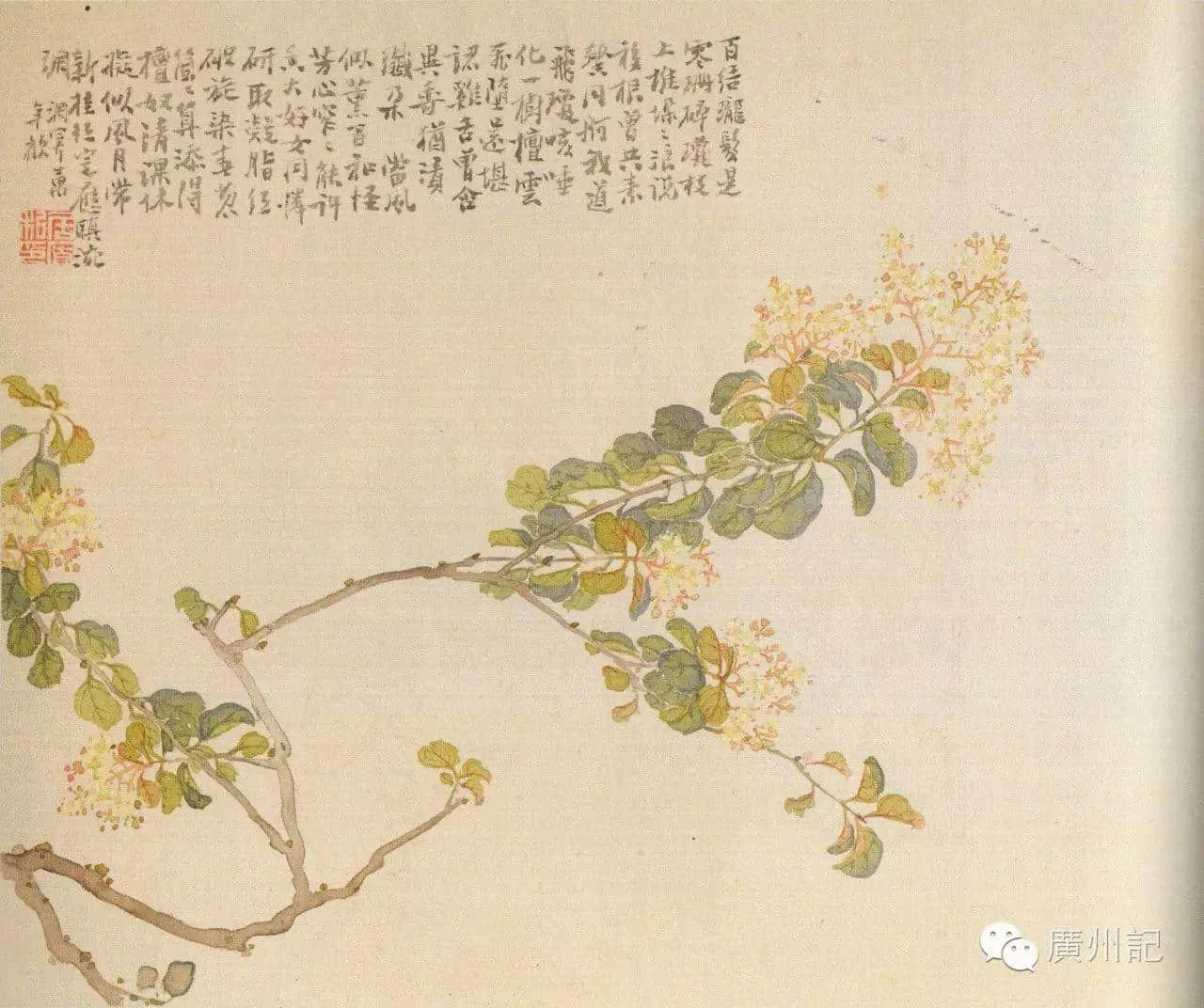 十香園的十香花，究竟是邊十種？