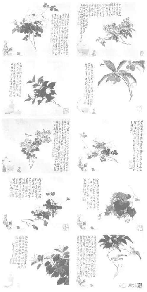 十香園的十香花，究竟是邊十種？