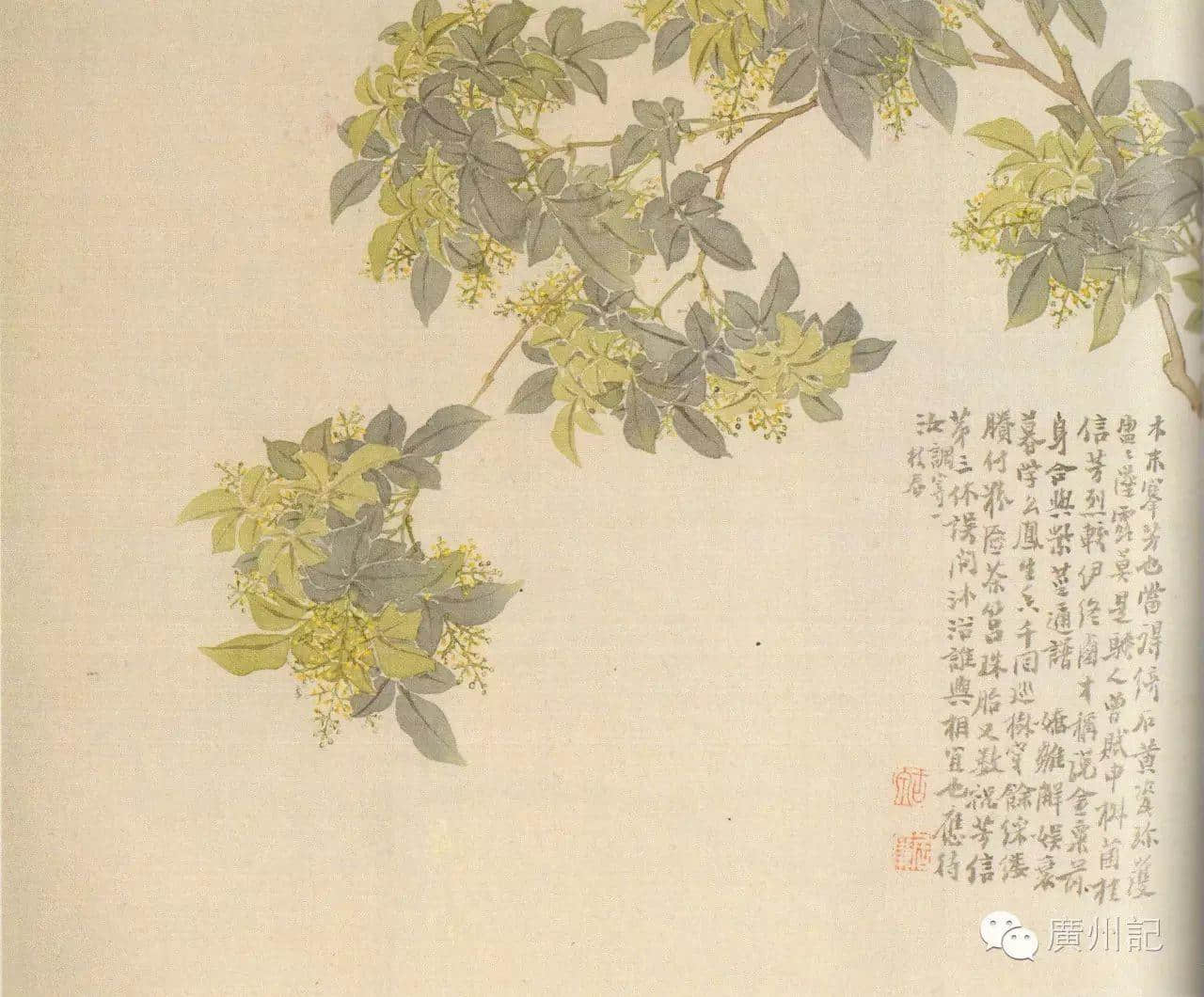 十香園的十香花，究竟是邊十種？