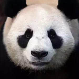 粵語中最熱門嘅“神”，睇下你撞過幾個(gè)？