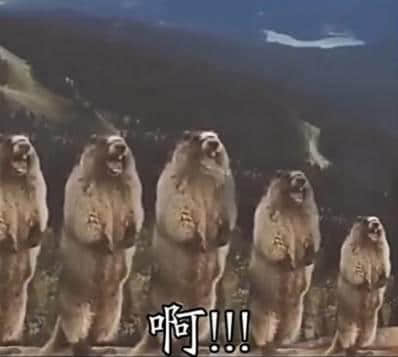 講咗十幾廿年粵語，呢啲語氣詞你都未必用得啱！