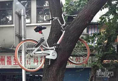 究竟，我們值不值得擁有共享單車？
