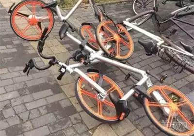 究竟，我們值不值得擁有共享單車？