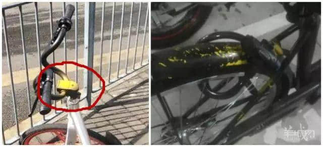 究竟，我們值不值得擁有共享單車？