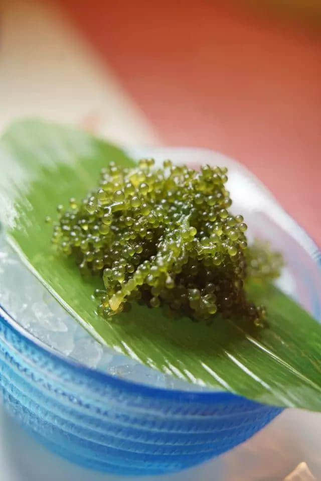 今日究竟系邊個生日？大家都要畀足面佢？