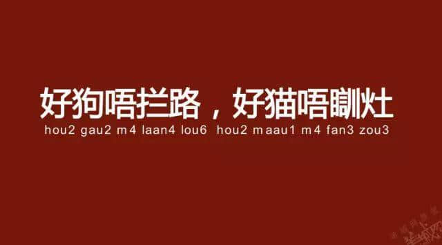 廣州老司機(jī)帶路，令你行少幾條彎路