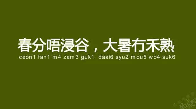廣州老司機(jī)帶路，令你行少幾條彎路
