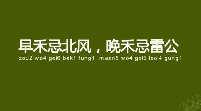 廣州老司機(jī)帶路，令你行少幾條彎路