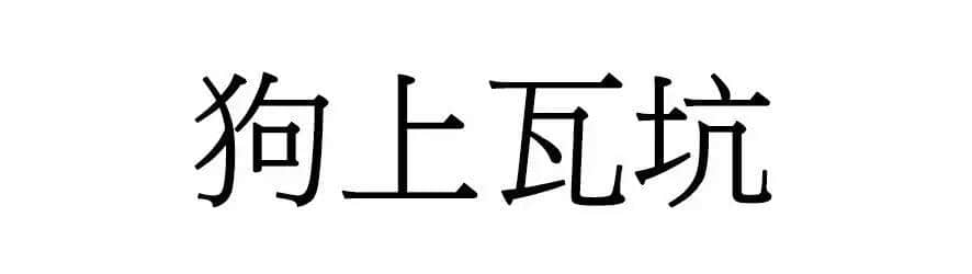 喺廣州，人“狗”冇藥醫(yī)！