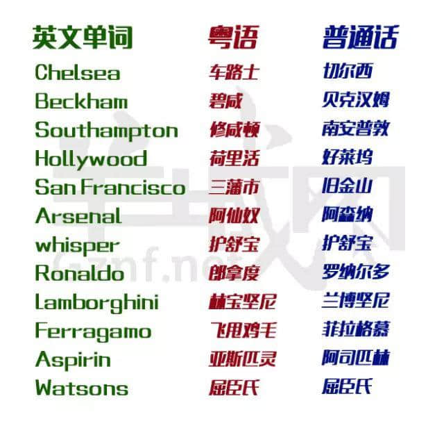 除咗我哋，冇一個公眾號會教你英文版粵語粗口！