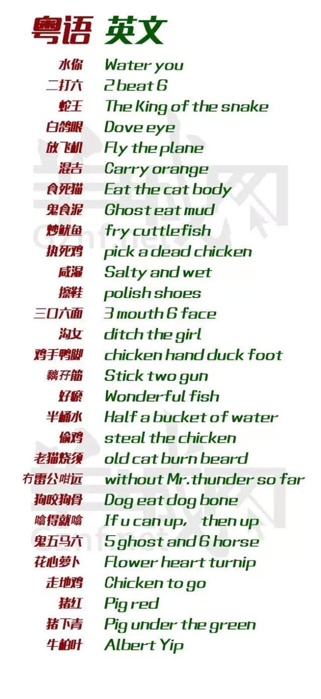 除咗我哋，冇一個公眾號會教你英文版粵語粗口！