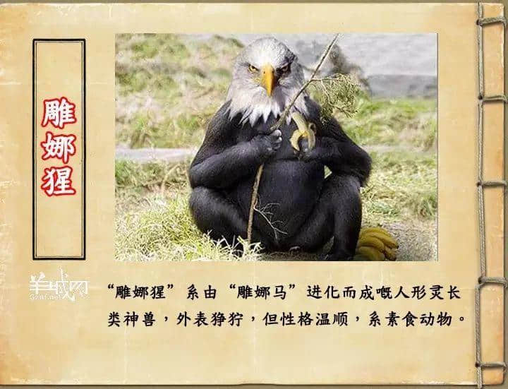 如果JK羅琳系廣州人，《神奇動(dòng)物在哪里》至少出7集！