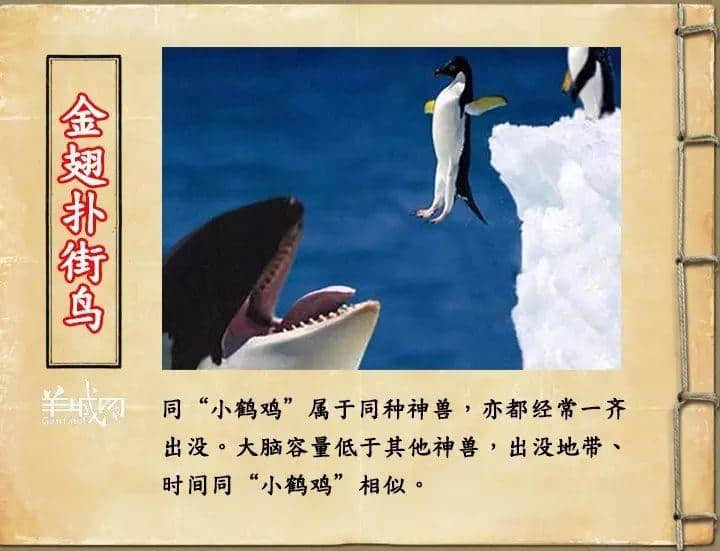 如果JK羅琳系廣州人，《神奇動(dòng)物在哪里》至少出7集！